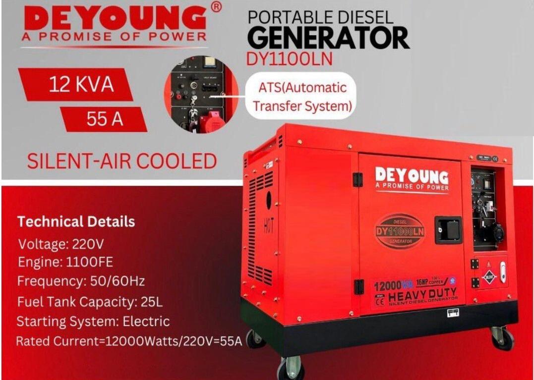 Deyoung 12KVA Silent Air Cooled Portable Diesel Generator